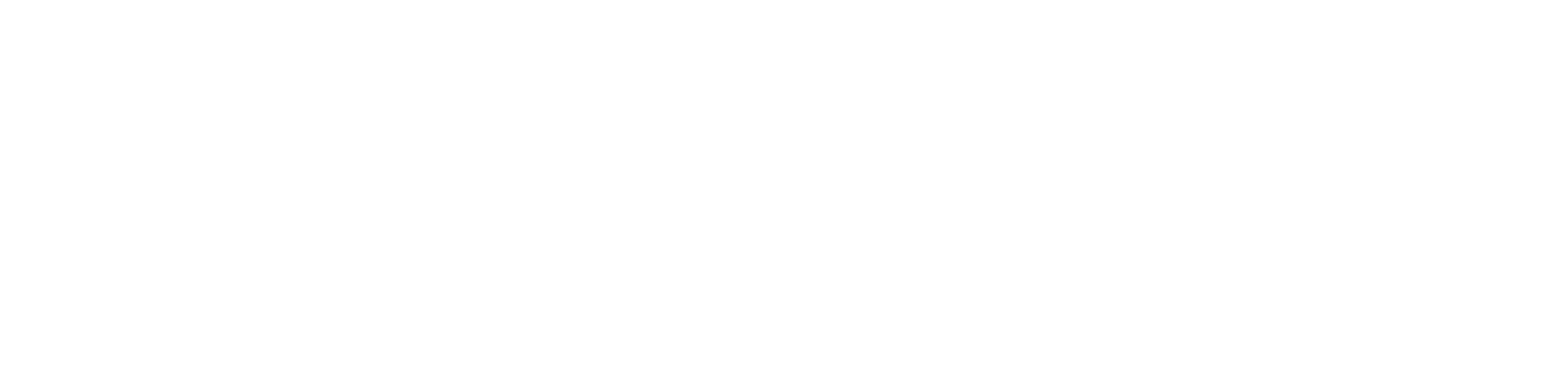 s&n design full logo white